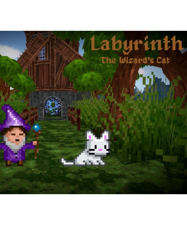 Labyrinth: The Wizard s Cat Steam Key GLOBAL